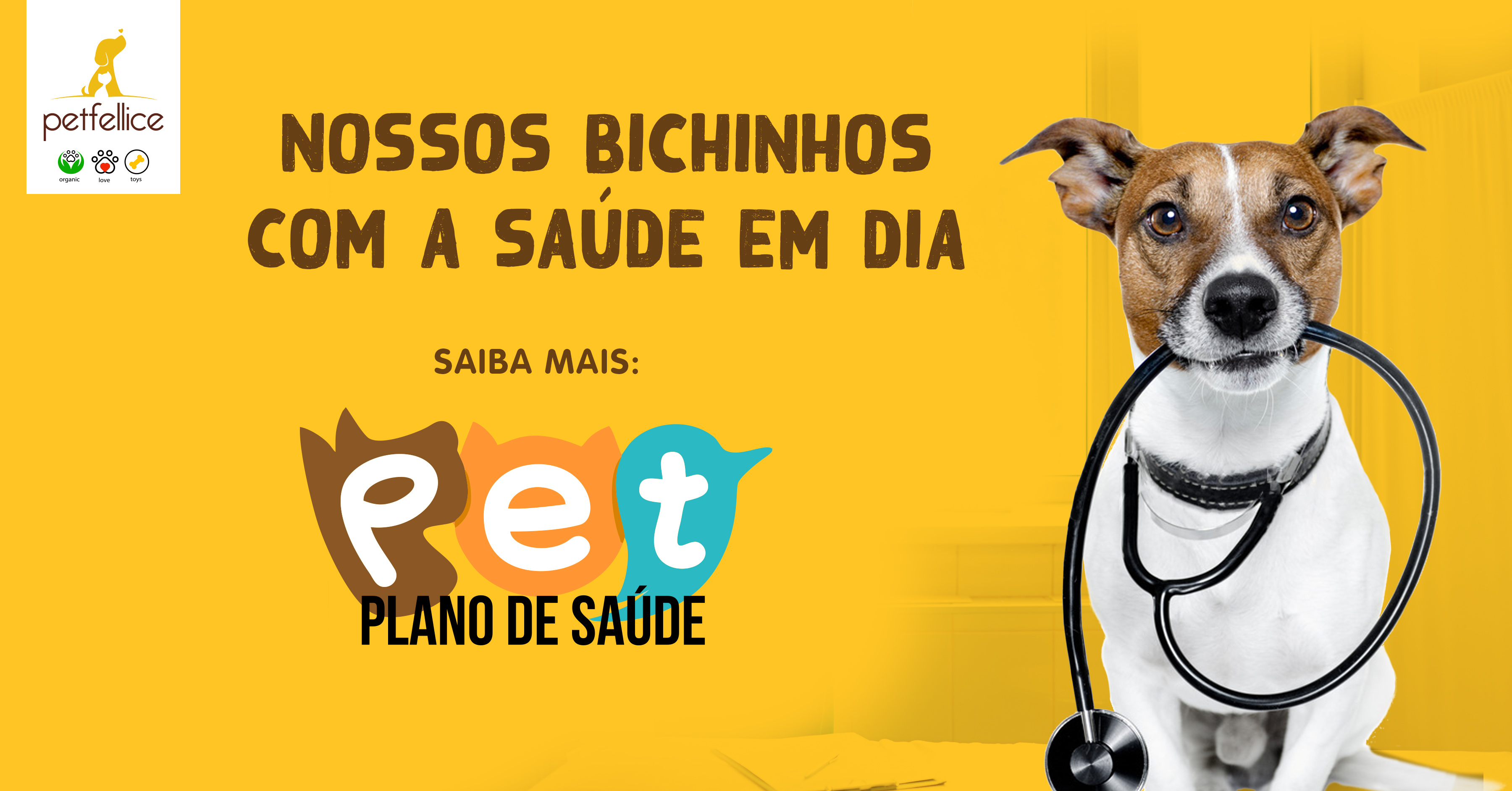 SAIBA TUDO SOBRE PLANO DE SAÚDE PARA PETS - ZenPet
